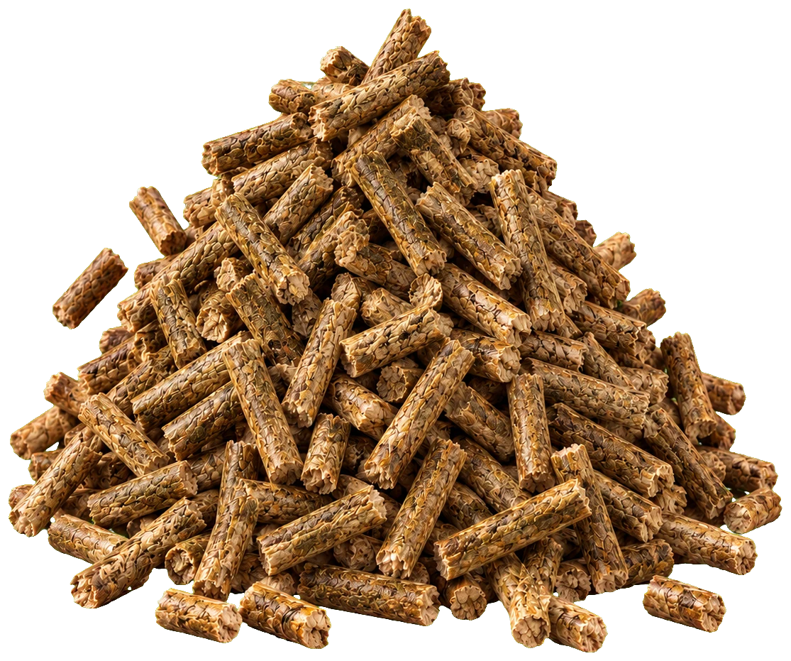 Mustard husk biomass pellets, olive brown and 6 to 8 mm thick, on raw concrete with dry mustard pods