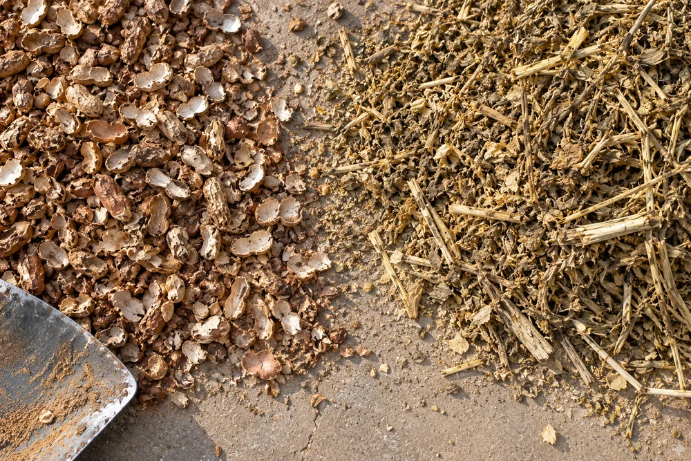 Raw groundnut shells and dry mustard husk in two heaps on a concrete yard