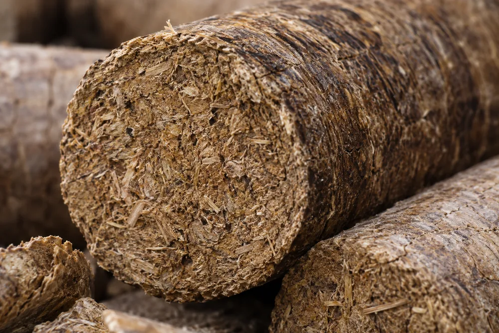 Compressed surface of a biomass briquette with friction-darkened rings