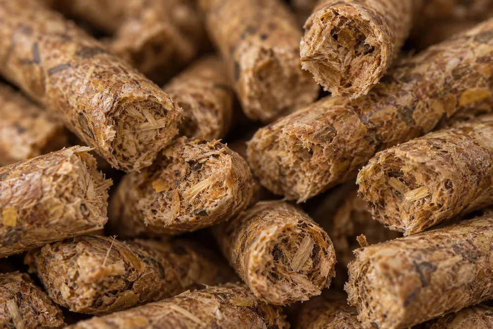 Extreme close-up of biomass pellet end faces showing compressed fibres
